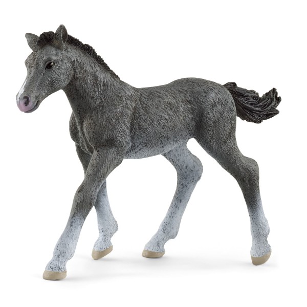 13944-schleich-trakehner-veulen