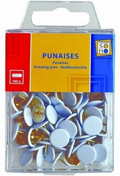 punaises-wit-100-stuks